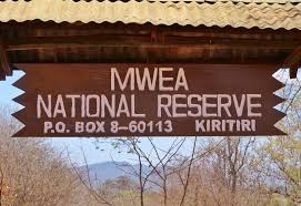 Rapids Camp sagana 